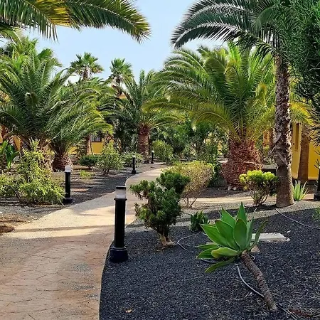 Frangipani - With Terrace & Shared Pool Apartment Corralejo